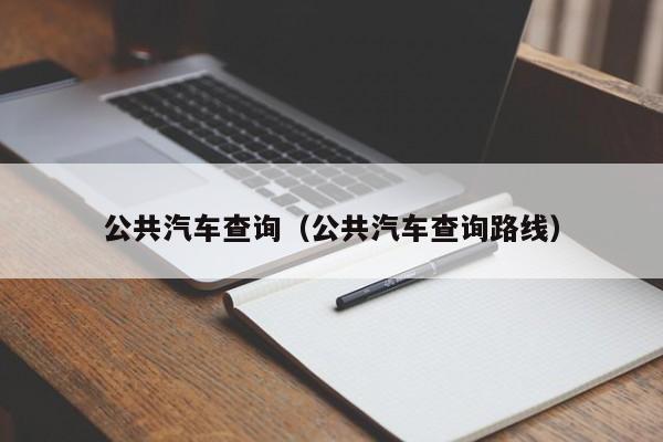 公共汽车查询（公共汽车查询路线）