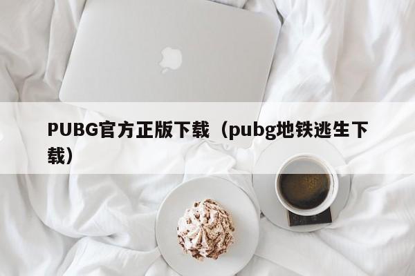 PUBG官方正版下载（pubg地铁逃生下载）