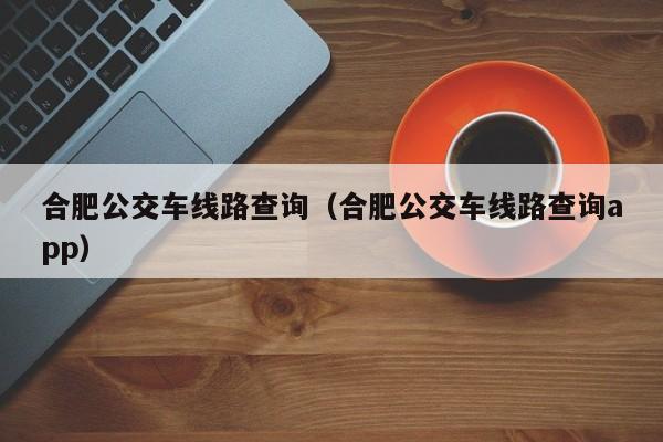 合肥公交车线路查询（合肥公交车线路查询app）