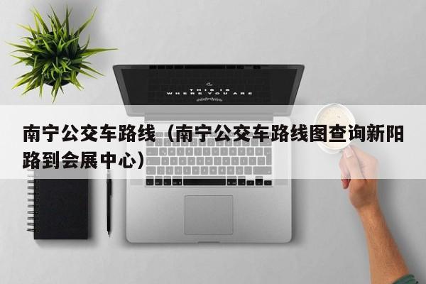 南宁公交车路线（南宁公交车路线图查询新阳路到会展中心）