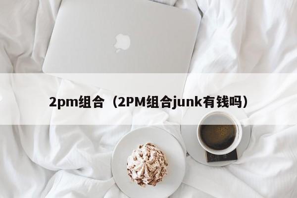 2pm组合（2PM组合junk有钱吗）