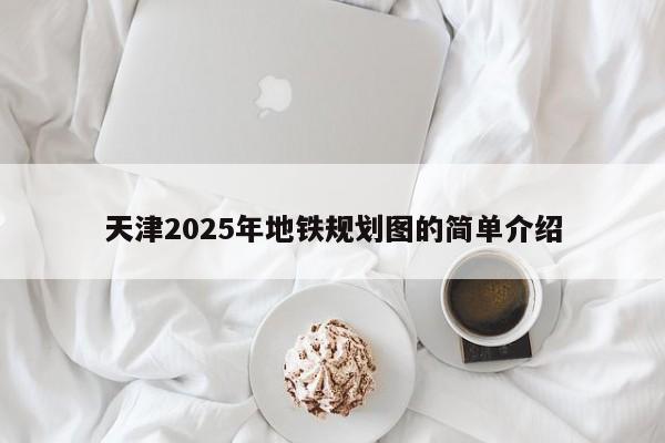 天津2025年地铁规划图的简单介绍