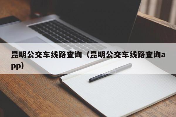 昆明公交车线路查询（昆明公交车线路查询app）