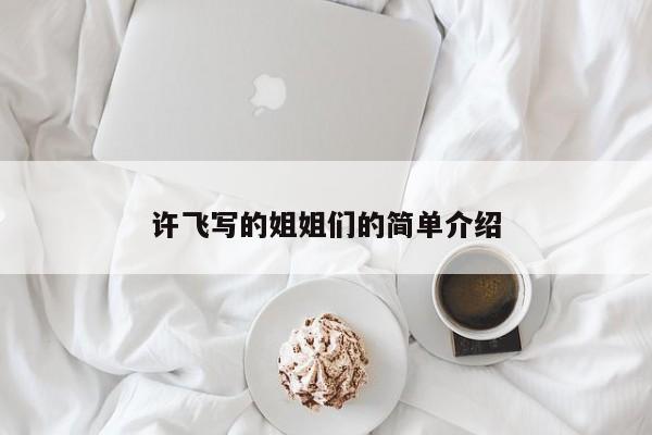 许飞写的姐姐们的简单介绍