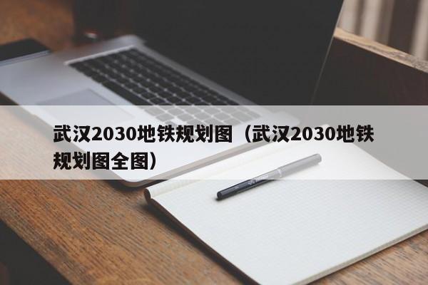 武汉2030地铁规划图（武汉2030地铁规划图全图）