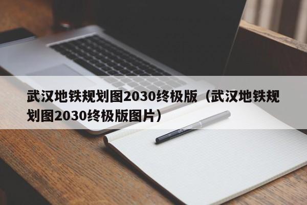 武汉地铁规划图2030终极版（武汉地铁规划图2030终极版图片）