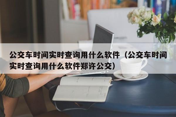 公交车时间实时查询用什么软件（公交车时间实时查询用什么软件郑许公交）