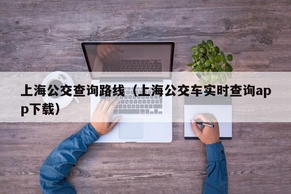 上海公交查询路线（上海公交车实时查询app下载）