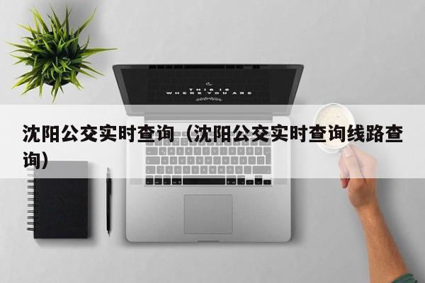 沈阳公交实时查询（沈阳公交实时查询线路查询）