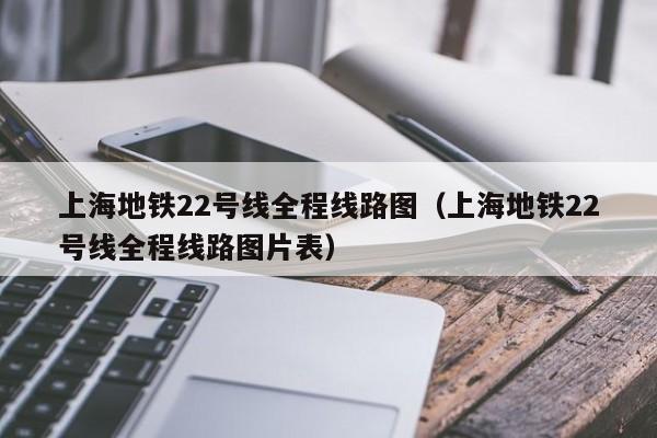 上海地铁22号线全程线路图（上海地铁22号线全程线路图片表）