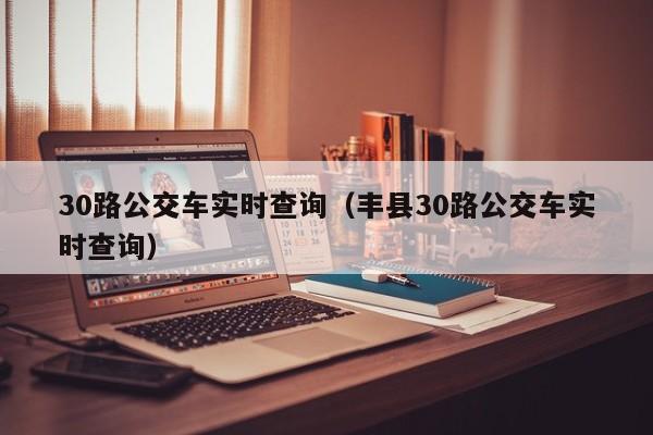 30路公交车实时查询（丰县30路公交车实时查询）