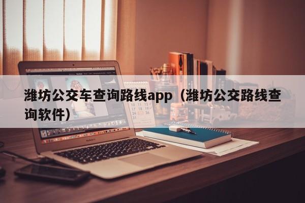 潍坊公交车查询路线app（潍坊公交路线查询软件）