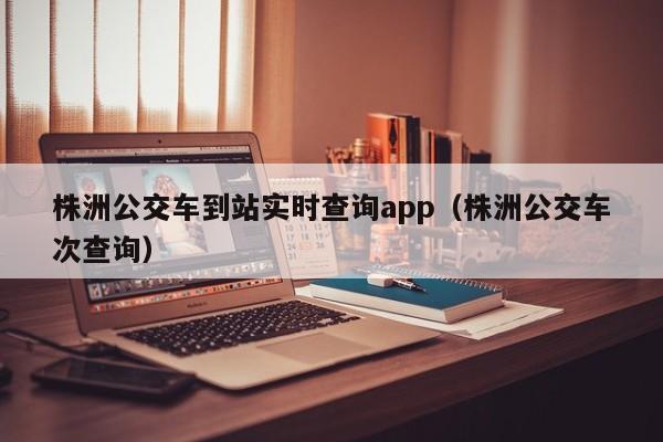 株洲公交车到站实时查询app（株洲公交车次查询）