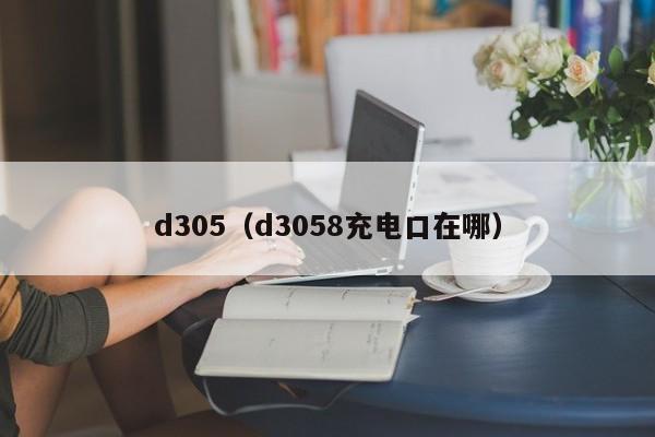 d305（d3058充电口在哪）