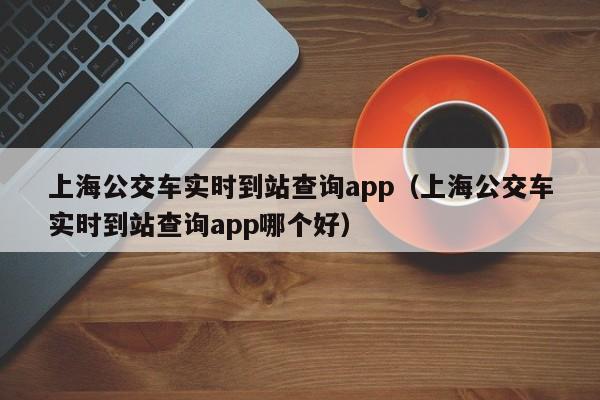 上海公交车实时到站查询app（上海公交车实时到站查询app哪个好）