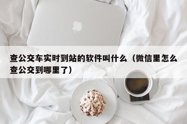 查公交车实时到站的软件叫什么（微信里怎么查公交到哪里了）