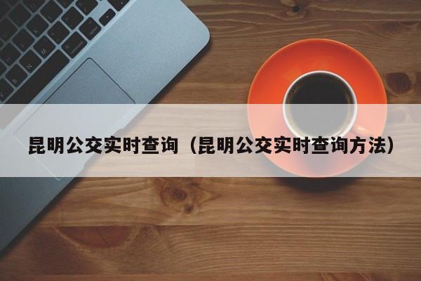 昆明公交实时查询（昆明公交实时查询方法）