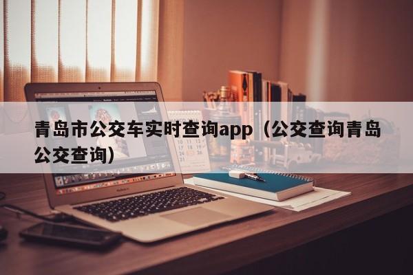 青岛市公交车实时查询app（公交查询青岛公交查询）