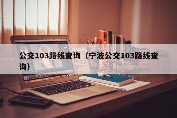 公交103路线查询（宁波公交103路线查询）