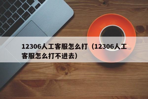 12306人工客服怎么打（12306人工客服怎么打不进去）