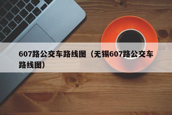 607路公交车路线图（无锡607路公交车路线图）